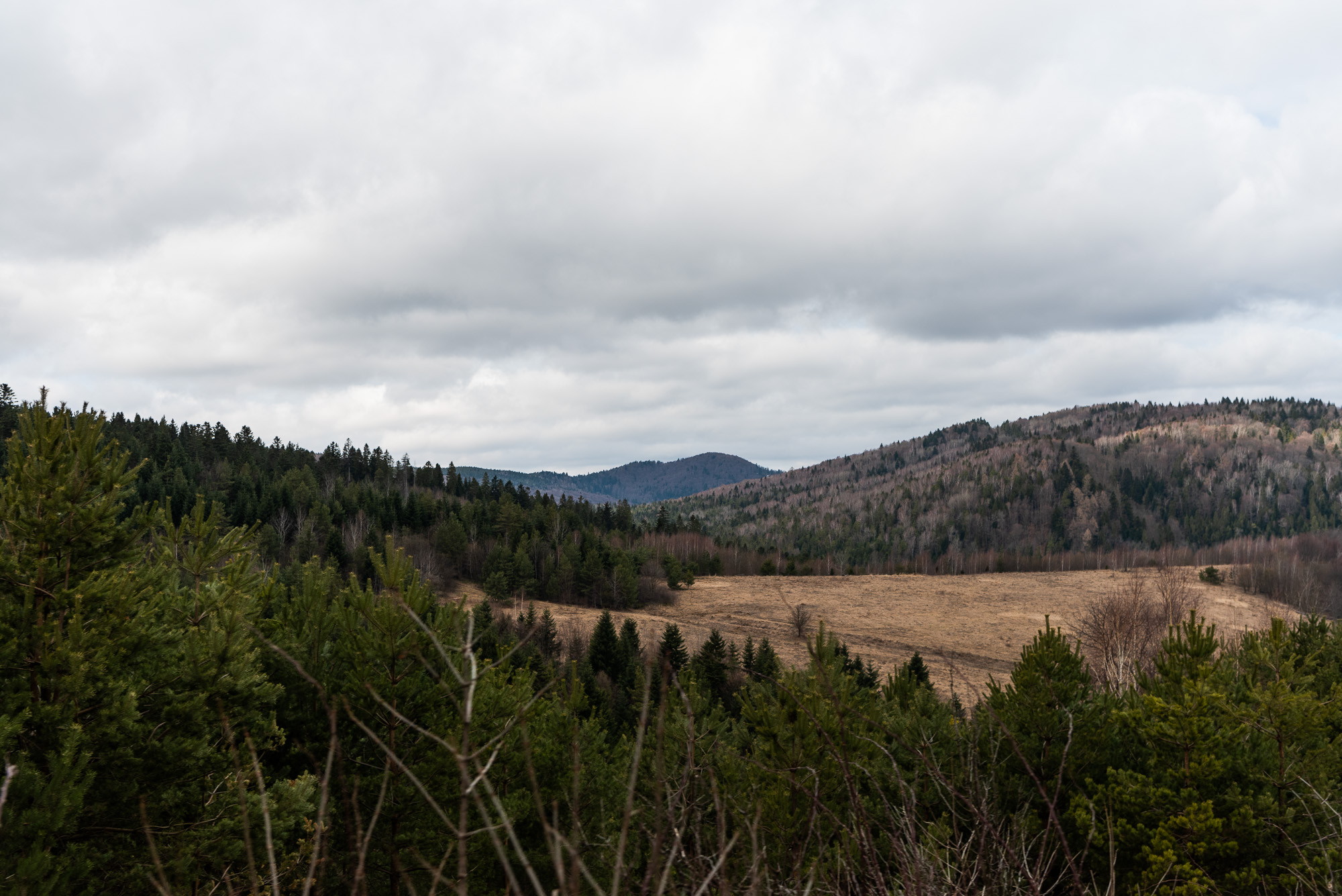 Reportaż terenowy — Przygody4x4